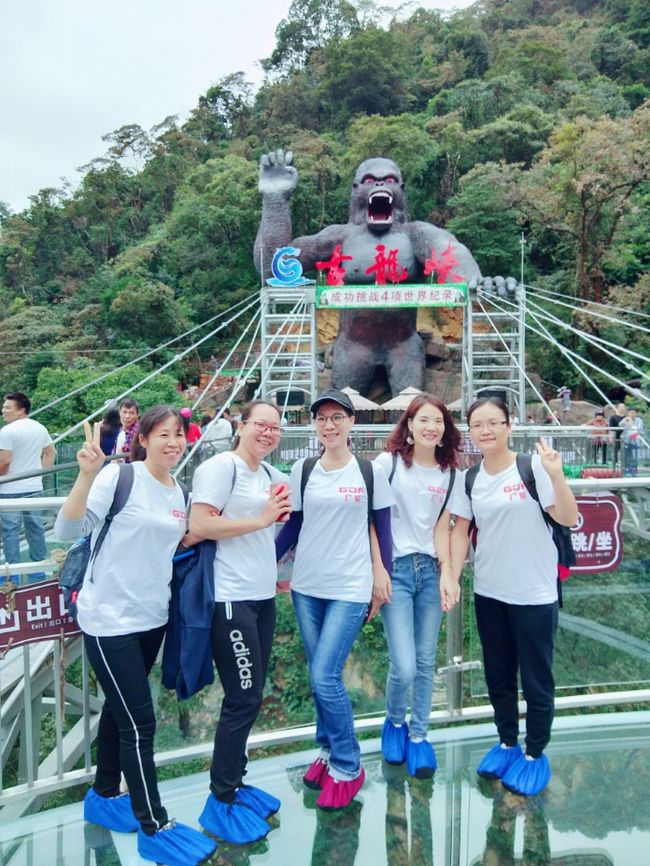 香港宝典免费资料网