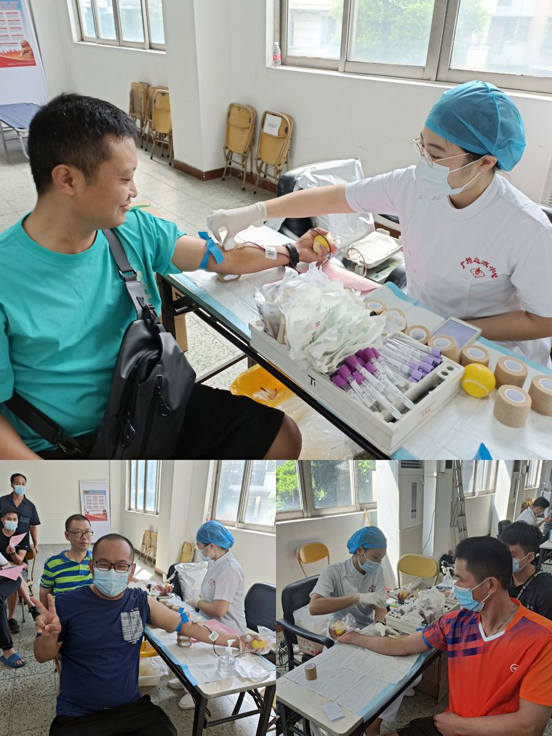 香港宝典免费资料网